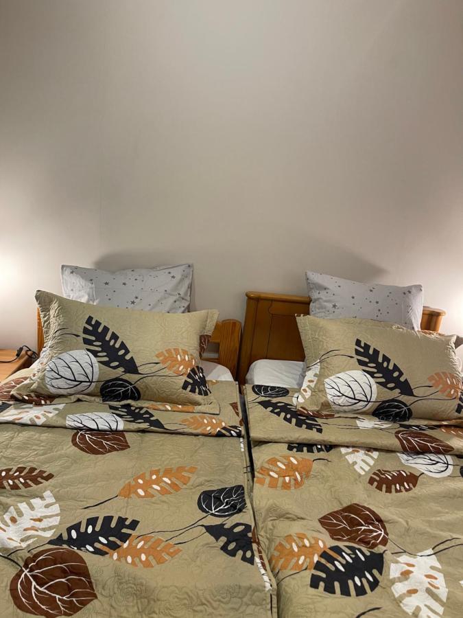 Appartement 3 Pieces Pour 1 A 5 Voyageurs Rillieux-la-Pape Bagian luar foto